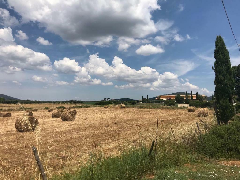 Agriturismo Colle D' Oro Пеша Романа Екстериор снимка